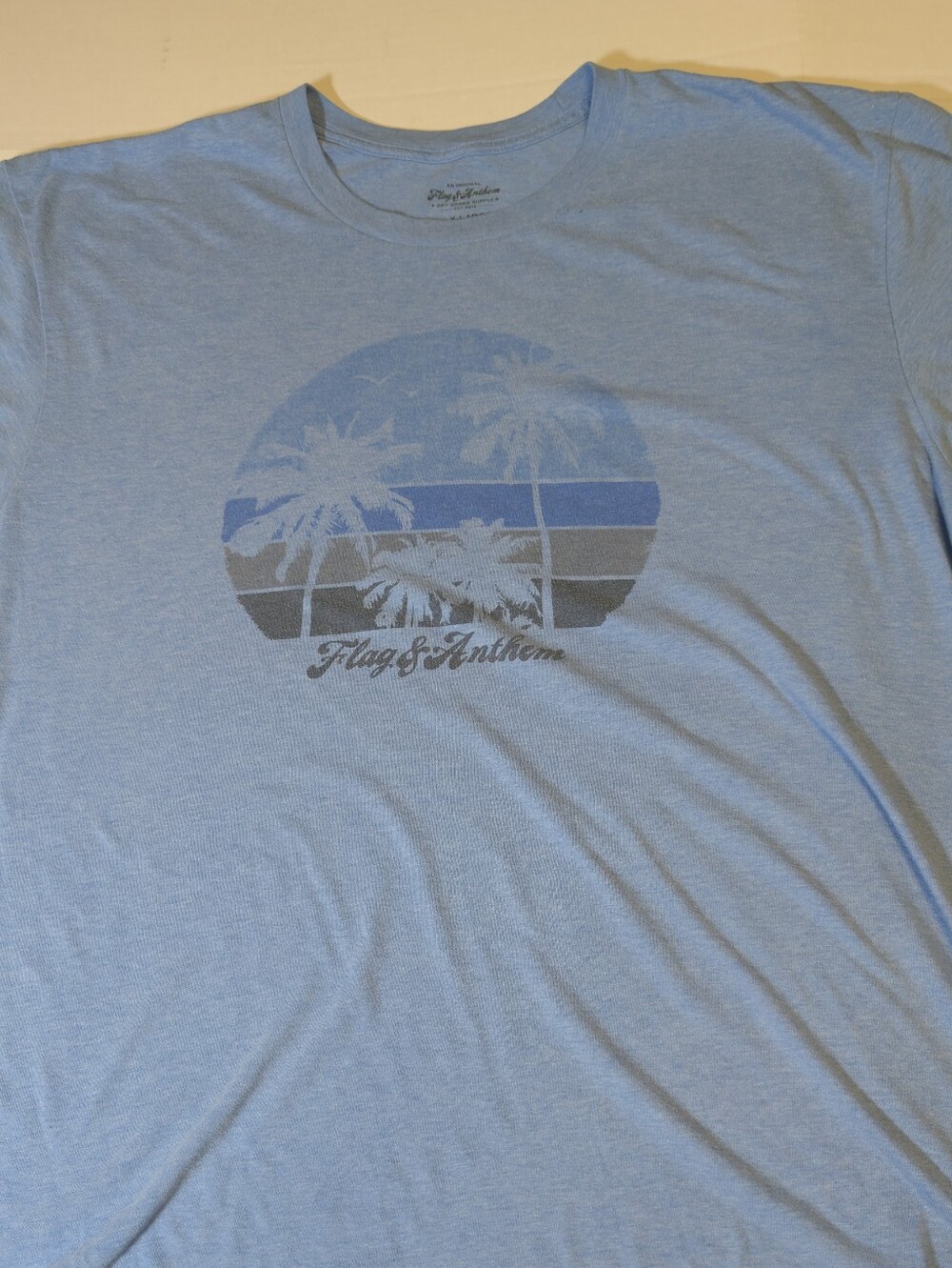 Flag & Anthem Mens Light Blue Palm Graphic Short Sleeve Tee